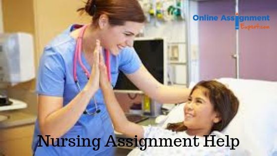 Nursing Assignment Help 